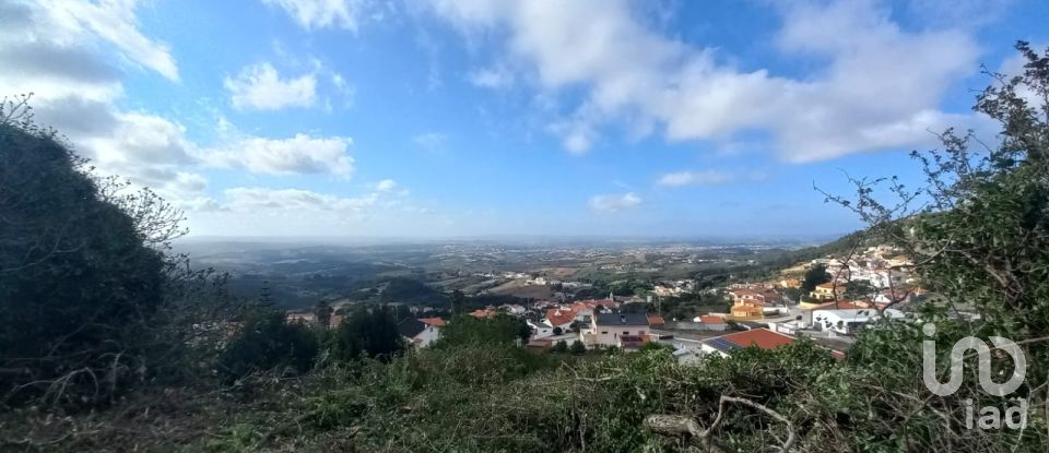 Building land in Lamas e Cercal of 7,040 m²