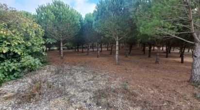 Building land in Lamas e Cercal of 7,040 m²