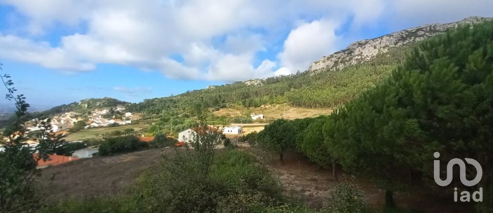 Building plot in Lamas e Cercal of 7,040 m²