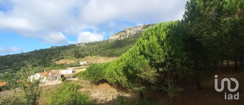 Building land in Lamas e Cercal of 7,040 m²