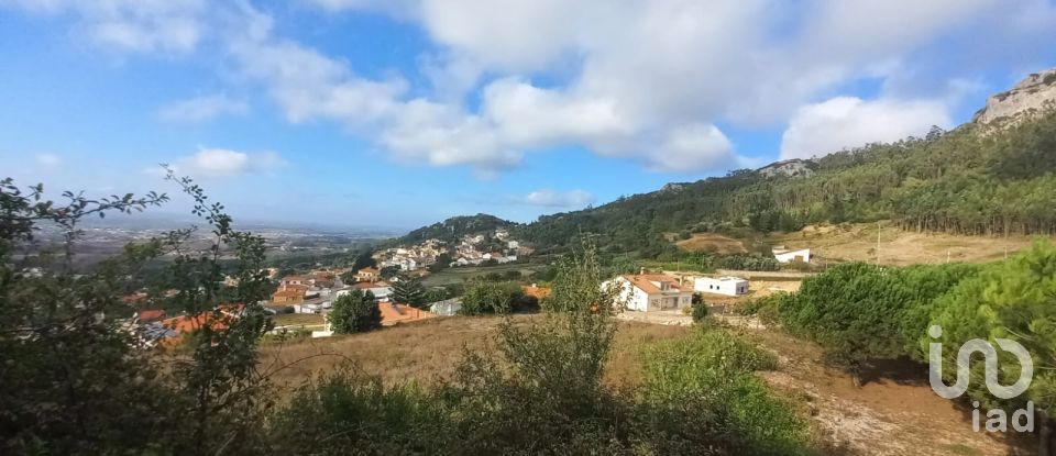 Building plot in Lamas e Cercal of 7,040 m²