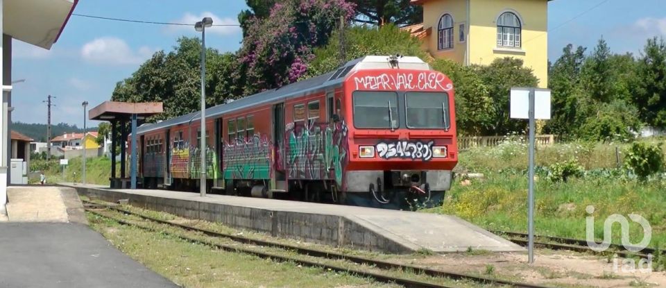 Terreno em Macinhata do Vouga de 5 600 m²