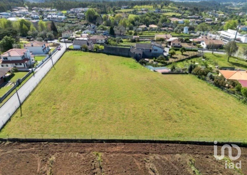 Terrain à Macinhata do Vouga de 5 600 m²