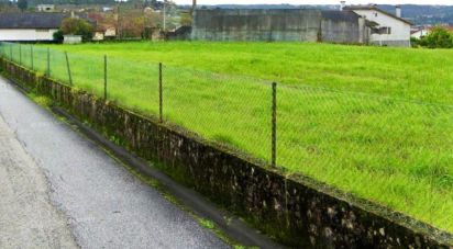 Terreno em Macinhata do Vouga de 5 600 m²