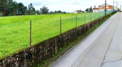 Terreno em Macinhata do Vouga de 5 600 m²