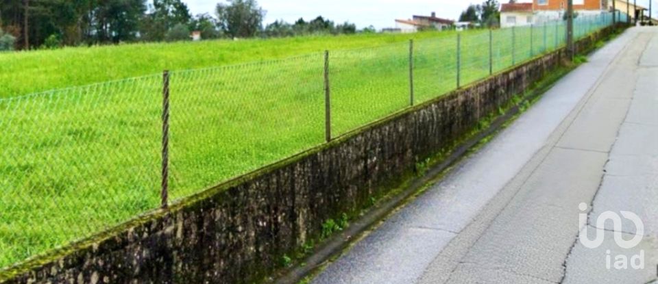 Terreno em Macinhata do Vouga de 5 600 m²