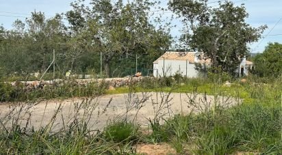 Land in Tavira (Santa Maria e Santiago) of 10,986 m²