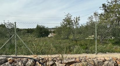 Land in Tavira (Santa Maria e Santiago) of 10,986 m²