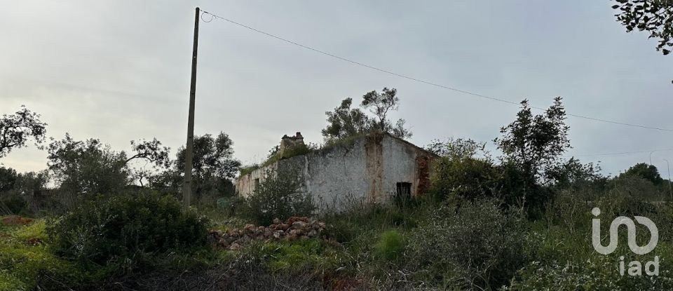 Terreno em Tavira (Santa Maria e Santiago) de 10 986 m²