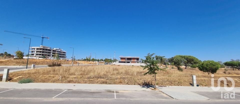 Terreno em Montenegro de 586 m²