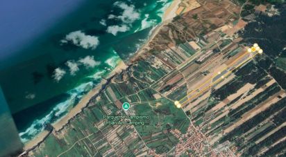 Land in Ferrel of 13,640 m²