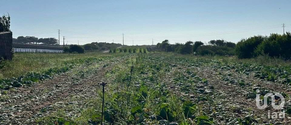 Land in Ferrel of 13,640 m²