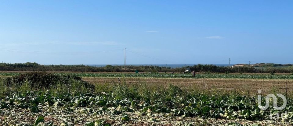 Terrain à Ferrel de 13 640 m²