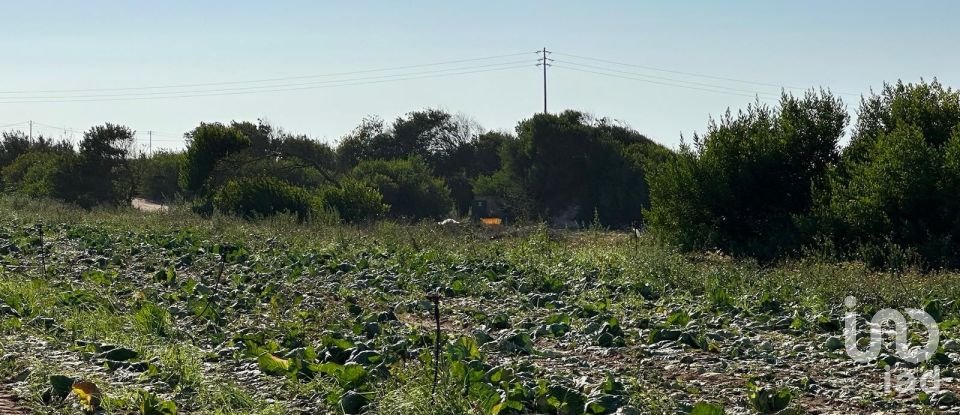 Terreno em Ferrel de 13 640 m²