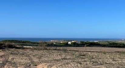 Land in Ferrel of 13,640 m²