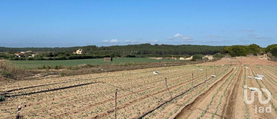 Land in Ferrel of 13,640 m²