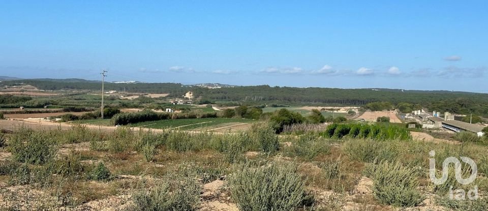 Land in Ferrel of 13,640 m²