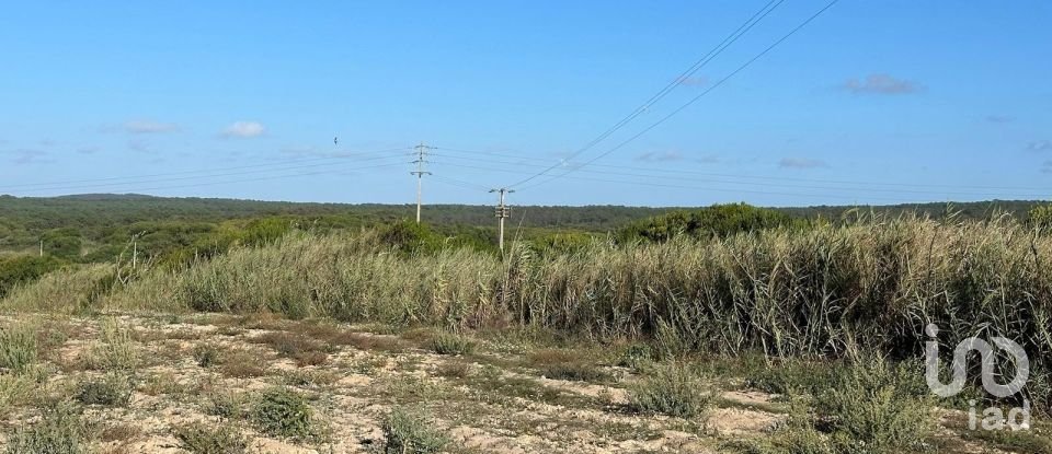 Land in Ferrel of 13,640 m²