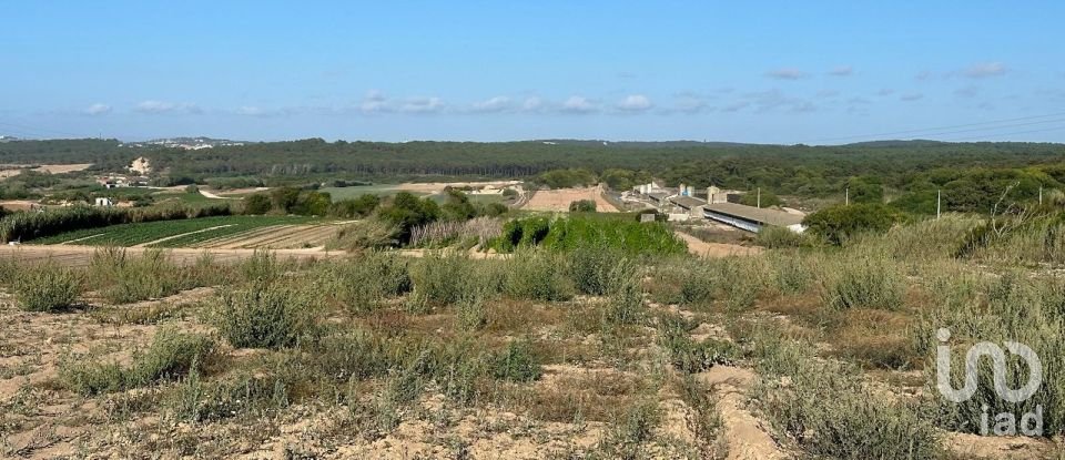 Land in Ferrel of 13,640 m²