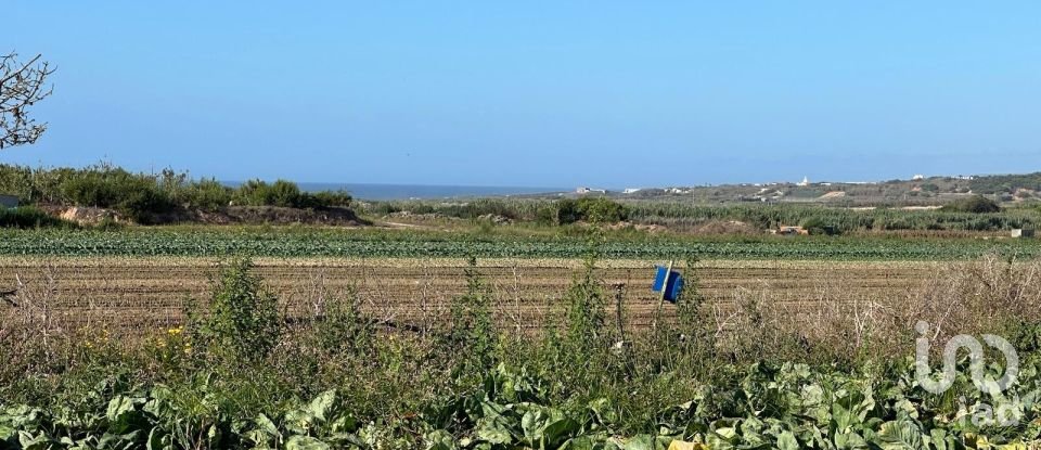 Terrain à Ferrel de 13 640 m²