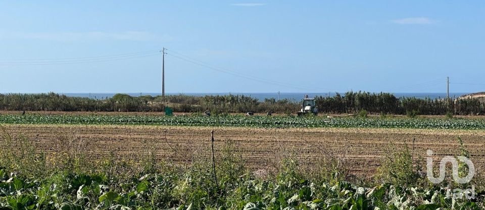 Terreno em Ferrel de 13 640 m²