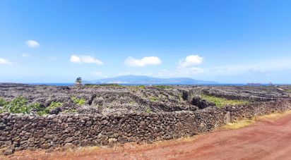 Terrain à Criação Velha de 6 776 m²