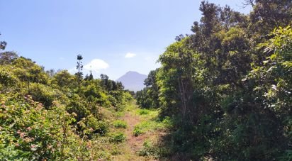 Terrain à Criação Velha de 6 776 m²