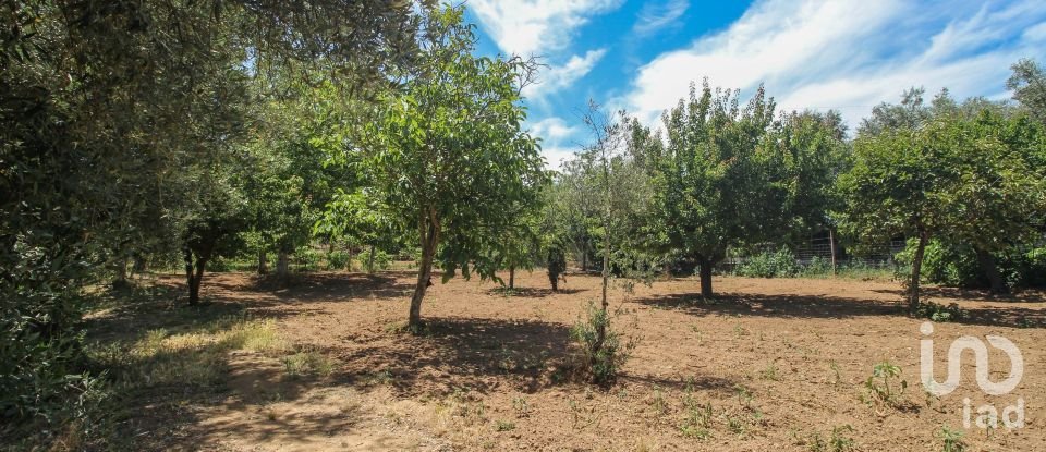 Ferme T3 à Nossa Senhora da Vila, Nossa Senhora do Bispo e Silveiras de 614 m²