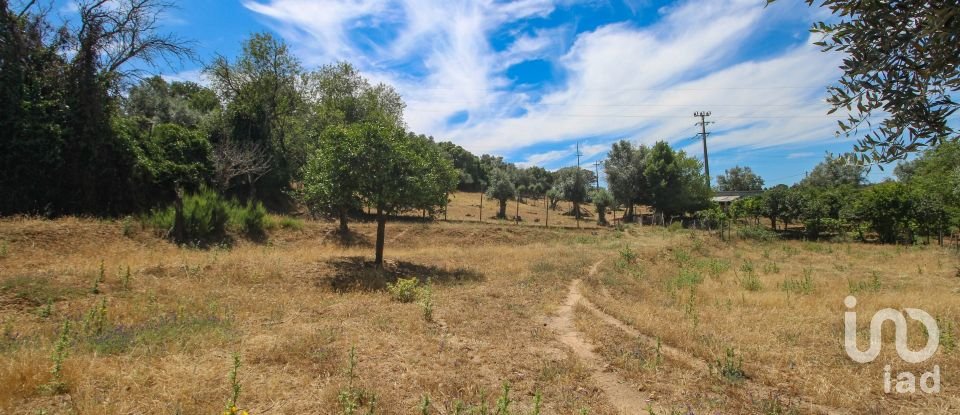 Ferme T3 à Nossa Senhora da Vila, Nossa Senhora do Bispo e Silveiras de 614 m²