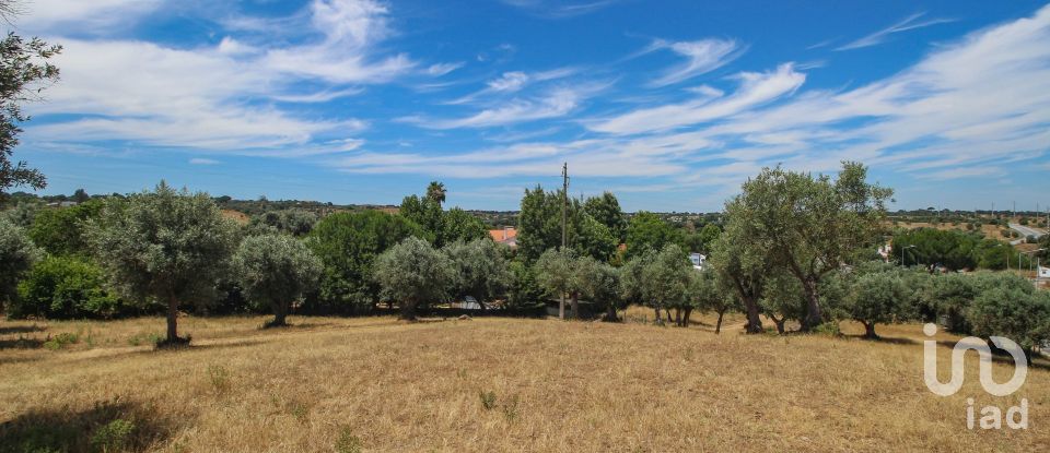 Ferme T3 à Nossa Senhora da Vila, Nossa Senhora do Bispo e Silveiras de 614 m²