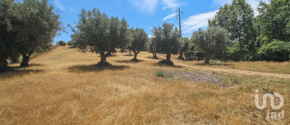 Ferme T3 à Nossa Senhora da Vila, Nossa Senhora do Bispo e Silveiras de 614 m²