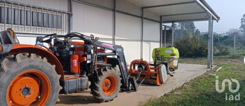 Terreno Agrícola em Ovar, São João, Arada e São Vicente de Pereira Jusã de 35 000 m²