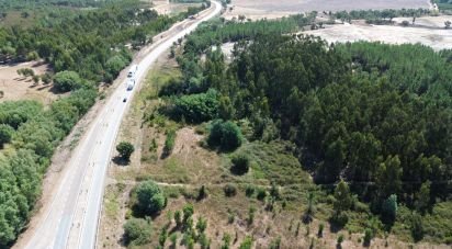 Terrain à Gavião e Atalaia de 31 000 m²