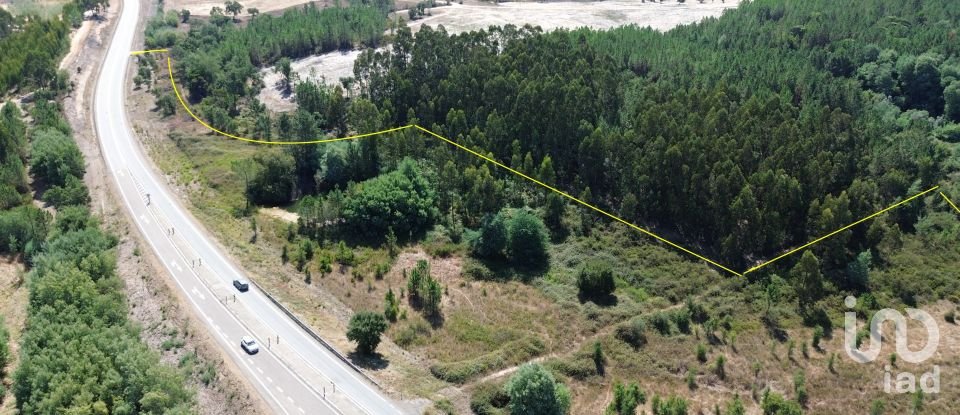 Terreno em Gavião e Atalaia de 31 000 m²