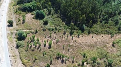 Terreno em Gavião e Atalaia de 31 000 m²