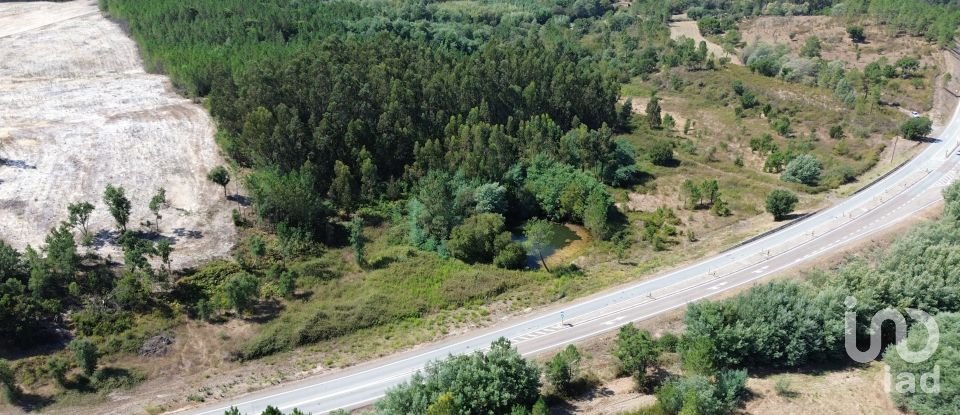 Terreno em Gavião e Atalaia de 31 000 m²