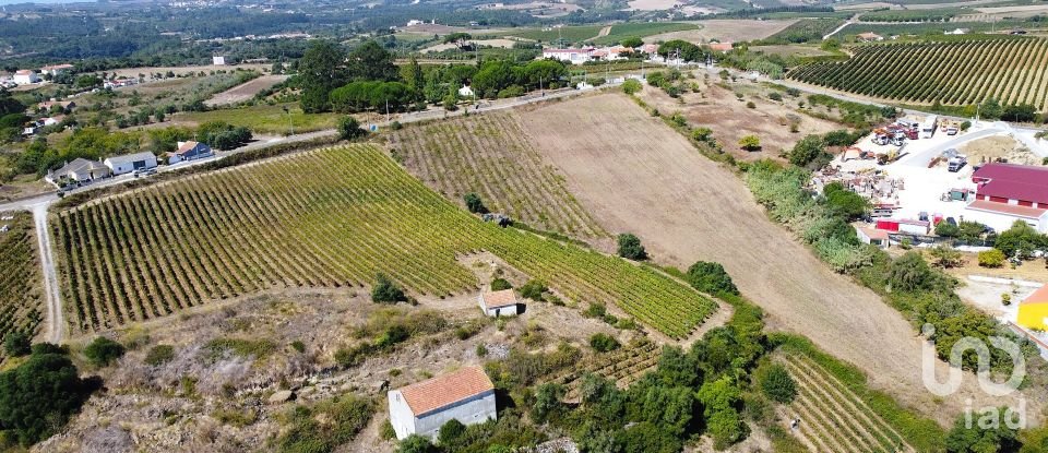 Building land in Carnota of 15,793 m²