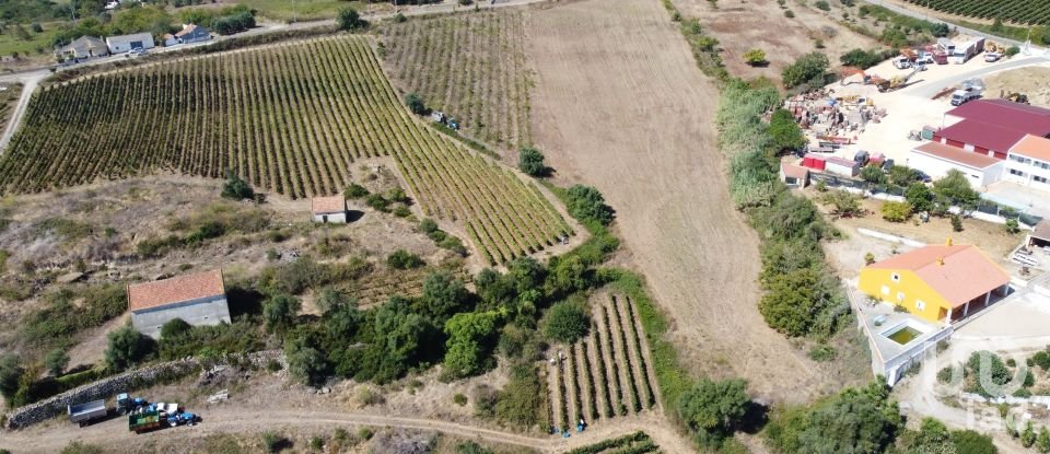 Building land in Carnota of 15,793 m²