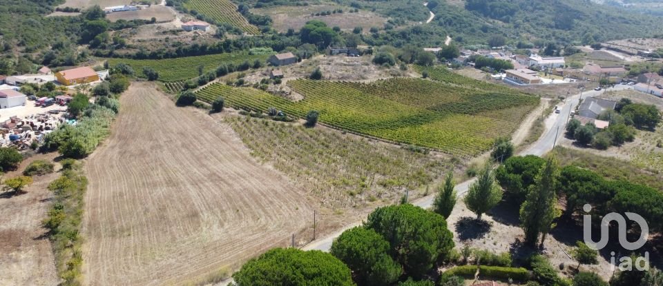 Building land in Carnota of 15,793 m²