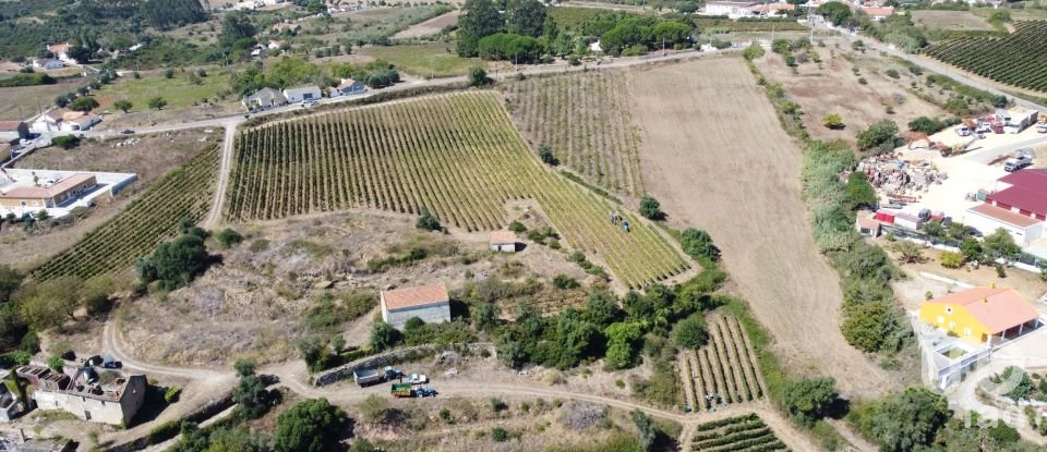 Building land in Carnota of 15,793 m²