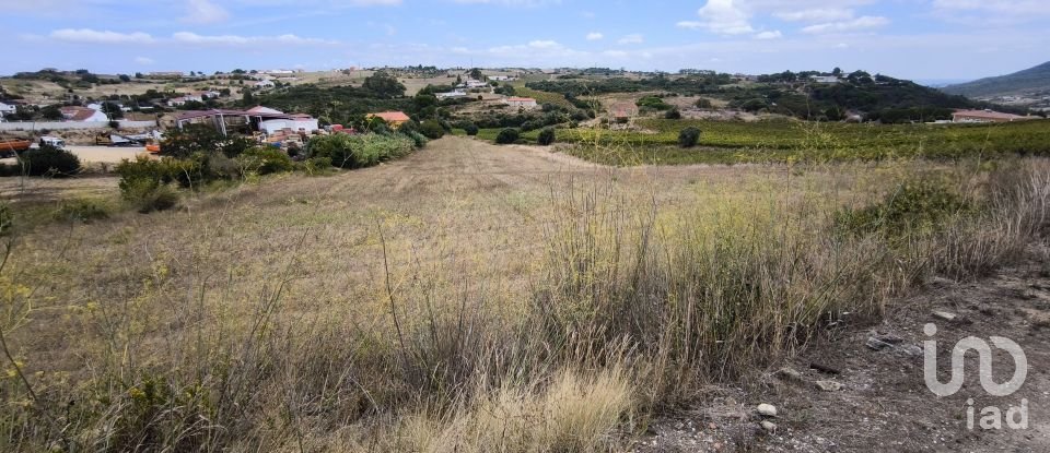 Building land in Carnota of 15,793 m²