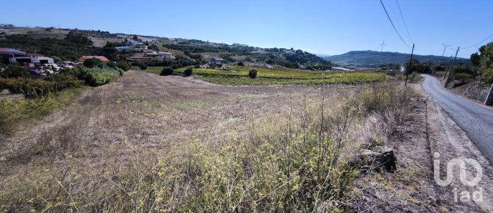 Building land in Carnota of 15,793 m²