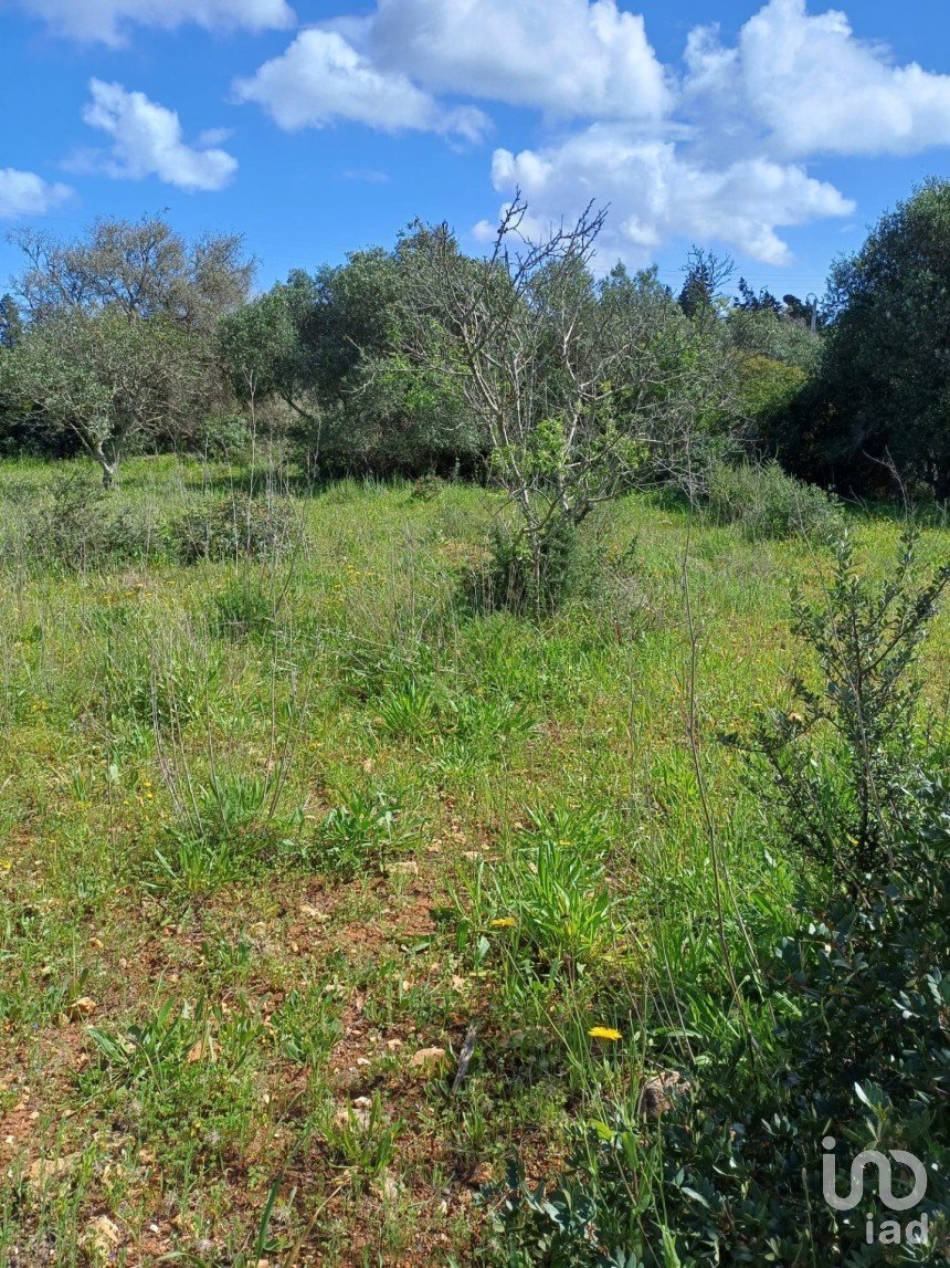 Land in Barão de São Miguel of 3,520 m²