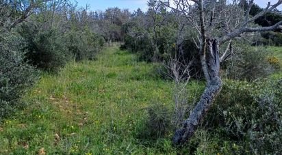 Terreno em Barão de São Miguel de 3 520 m²