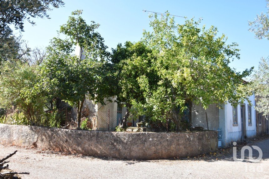 Casa de aldeia T2 em Areias e Pias de 237 m²