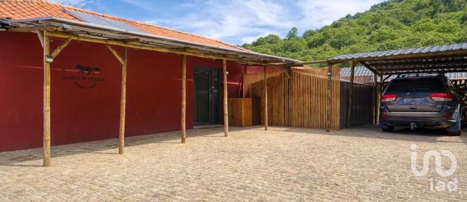 Farm T6 in Anreade e São Romão de Aregos of 266 m²