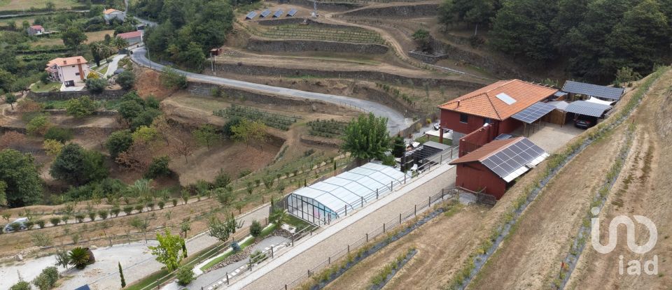 Ferme T6 à Anreade e São Romão de Aregos de 266 m²