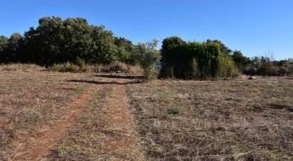 Building land in Areias e Pias of 8,120 m²