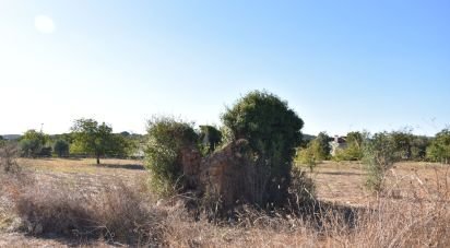 Building land in Areias e Pias of 8,120 m²