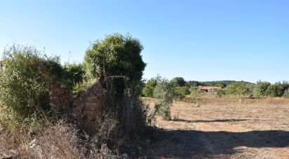 Building land in Areias e Pias of 8,120 m²